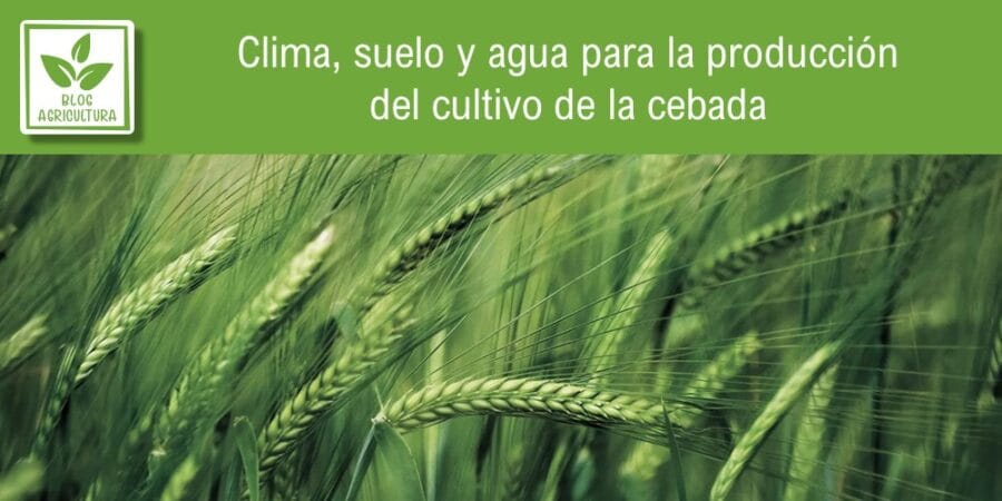 Clima Suelo Y Agua Para La Producci N Del Cultivo De La Cebada