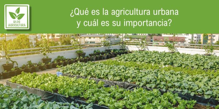 Portada del artículo sobre agricultura urbana