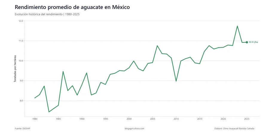 03 aguacate rendimiento promedio mexico 1980