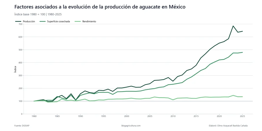 04 aguacate factores evolucion produccion mexico 1980