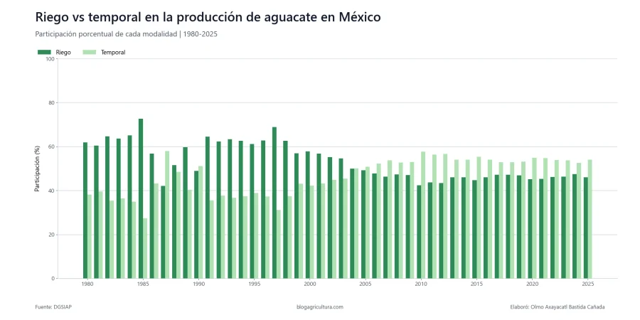 06 aguacate riego temporal mexico 1980