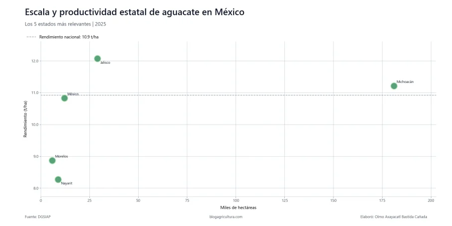 08 aguacate escala productividad estatal mexico