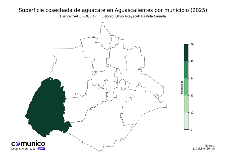 México Producción Agrícola Aguacate Aguascalientes (superficie cosechada)