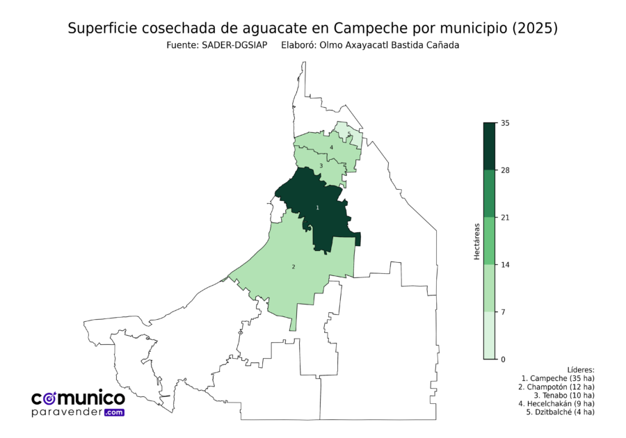 México Producción Agrícola Aguacate Campeche (superficie cosechada)