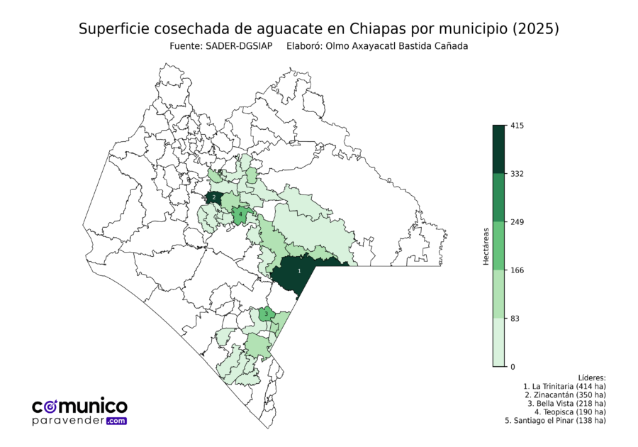México Producción Agrícola Aguacate Chiapas (superficie cosechada)