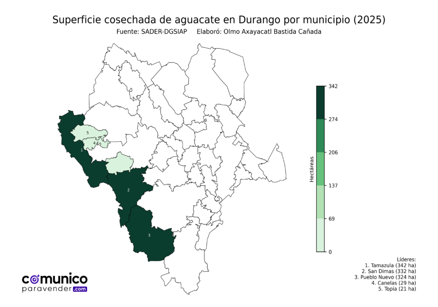 México Producción Agrícola Aguacate Durango (superficie cosechada)
