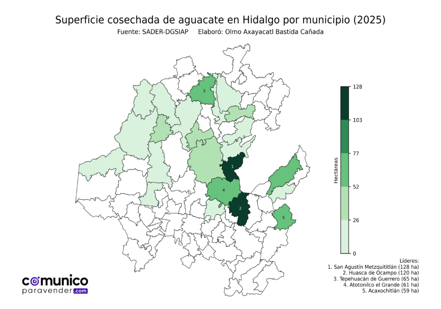 México Producción Agrícola Aguacate Hidalgo (superficie cosechada)
