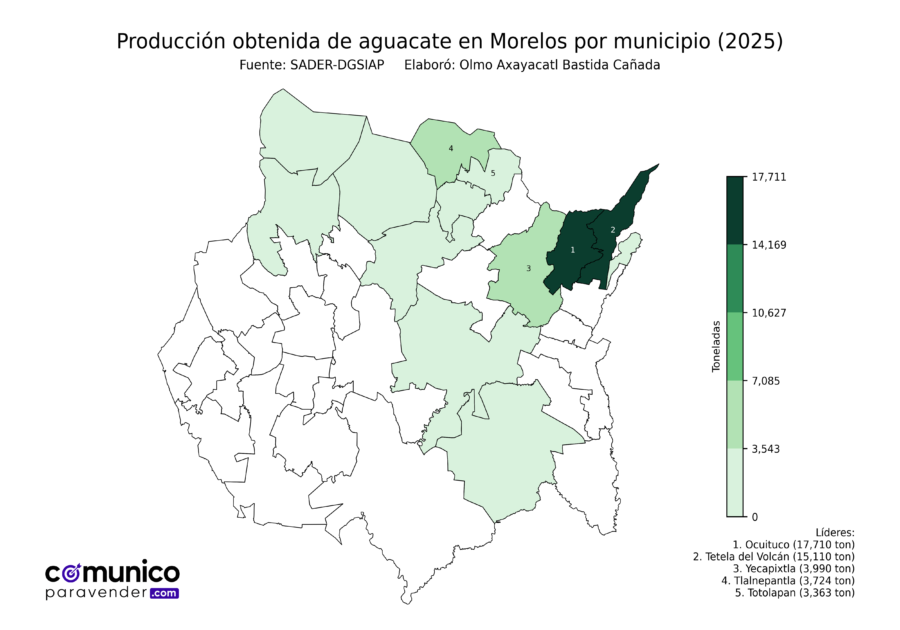 México Producción Agrícola Aguacate Morelos (producción obtenida)