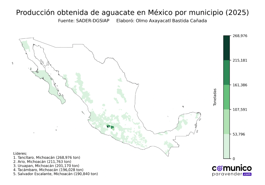 México Producción Agrícola Aguacate (Municipios Producción)