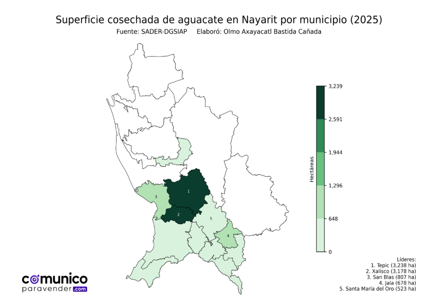 México Producción Agrícola Aguacate Nayarit (superficie cosechada)