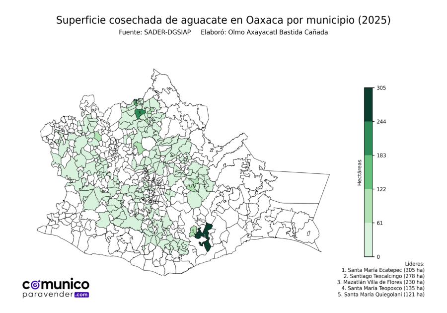 México Producción Agrícola Aguacate Oaxaca (superficie cosechada)