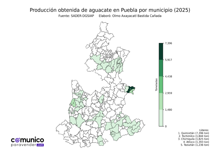 México Producción Agrícola Aguacate Puebla (producción obtenida)