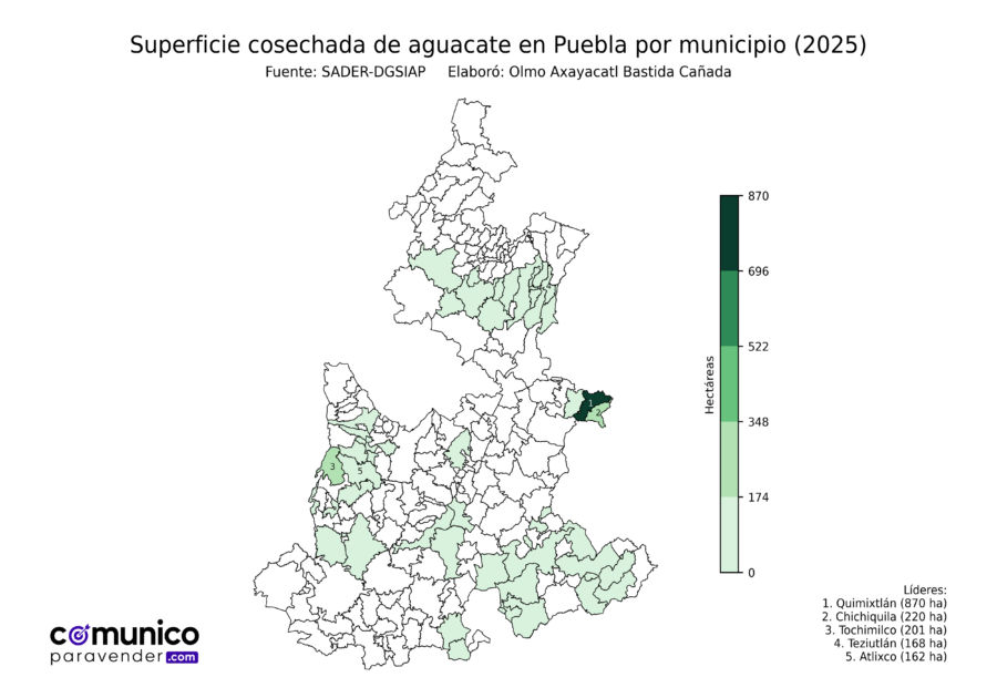 México Producción Agrícola Aguacate Puebla (superficie cosechada)