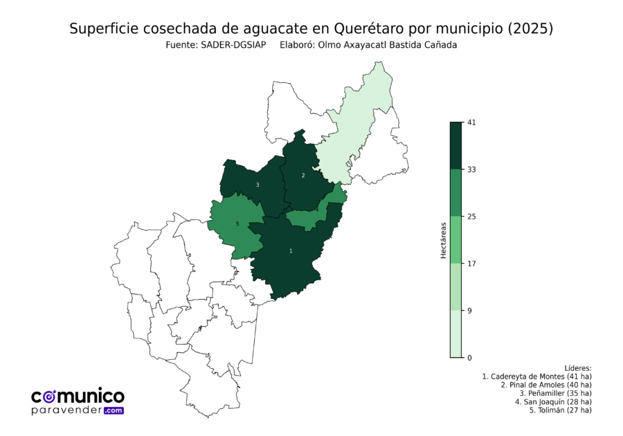 México Producción Agrícola Aguacate Querétaro (superficie cosechada)