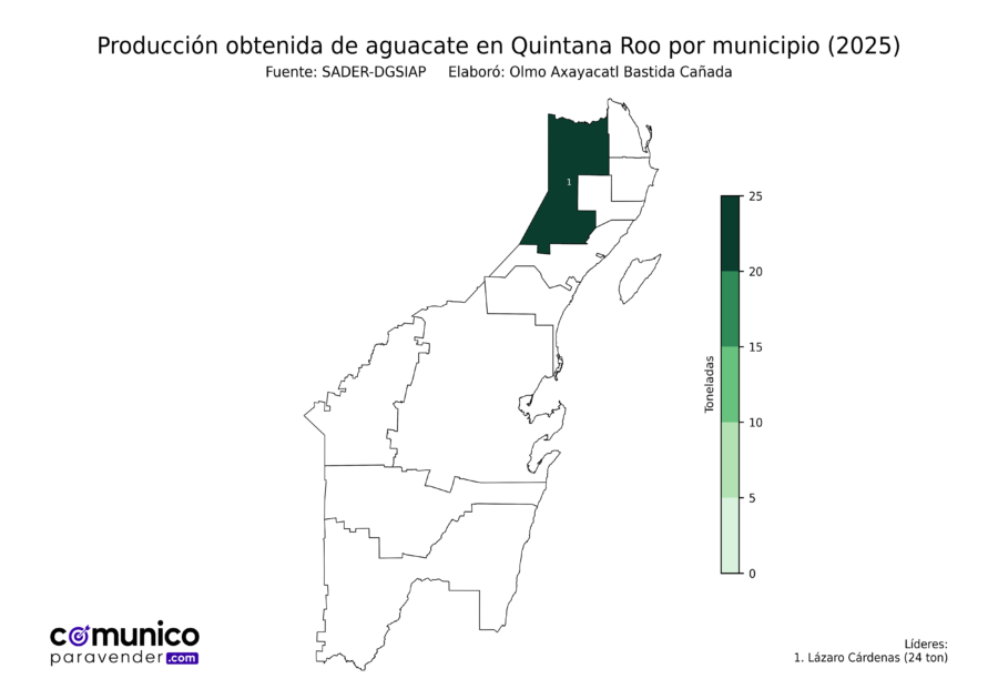 México Producción Agrícola Aguacate Quintana Roo (producción obtenida)