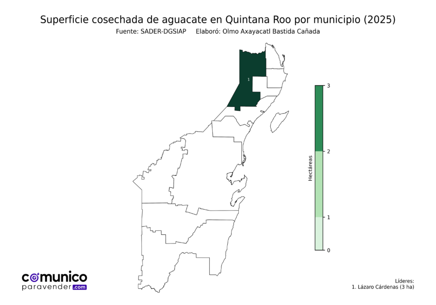 México Producción Agrícola Aguacate Quintana Roo (superficie cosechada)