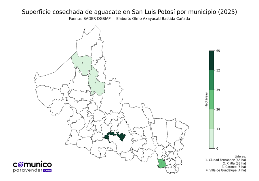 México Producción Agrícola Aguacate San Luis Potosí (superficie cosechada)