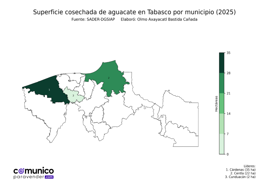 México Producción Agrícola Aguacate Tabasco (superficie cosechada)