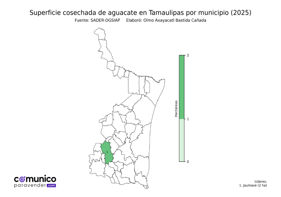 México Producción Agrícola Aguacate Tamaulipas (superficie cosechada)