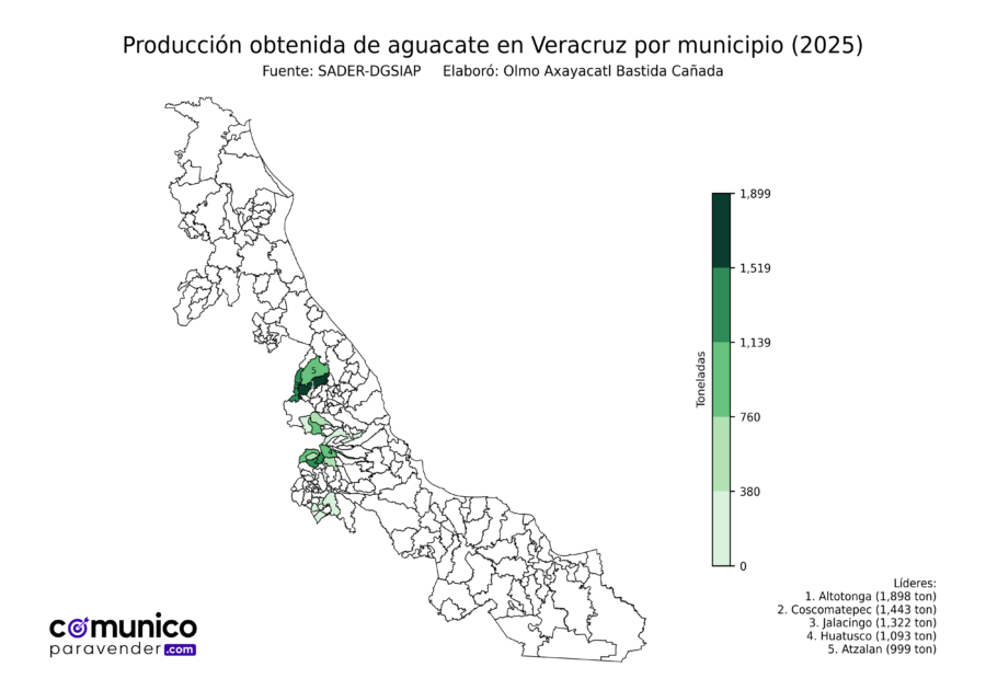 México Producción Agrícola Aguacate Veracruz (producción obtenida)