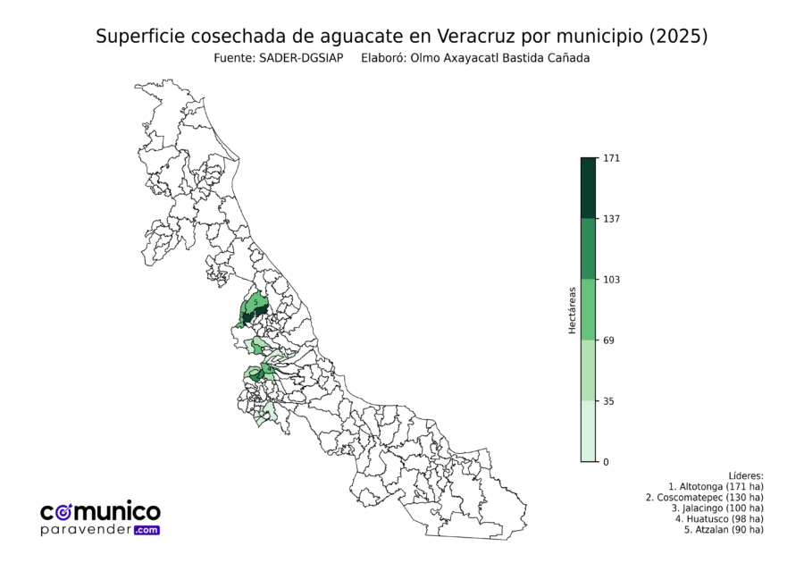 México Producción Agrícola Aguacate Veracruz (superficie cosechada)