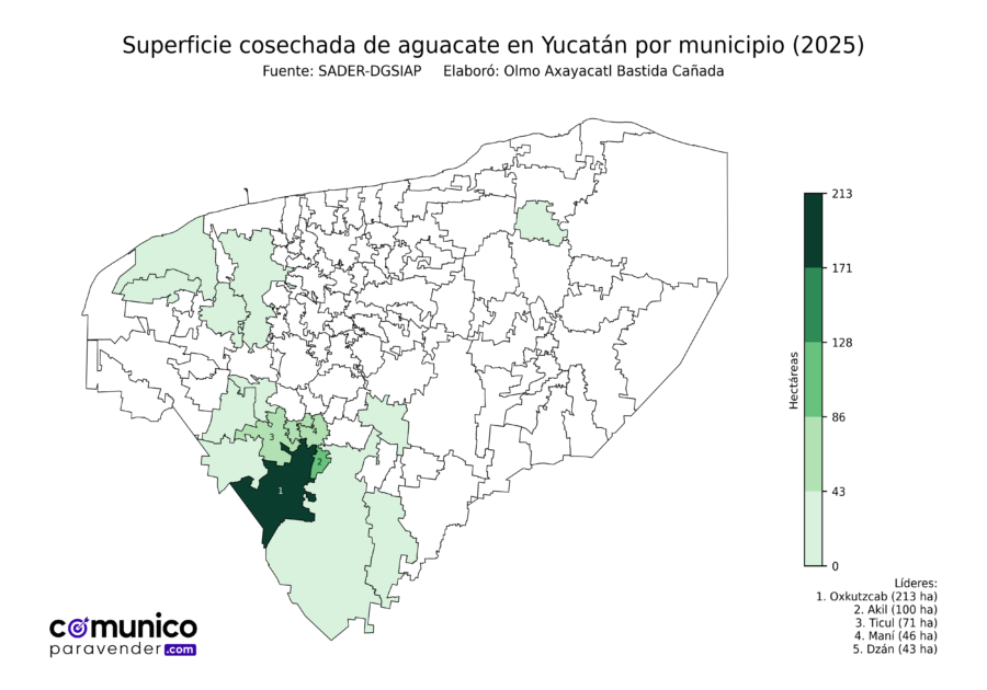 México Producción Agrícola Aguacate Yucatán (superficie cosechada)