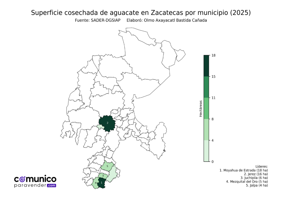 México Producción Agrícola Aguacate Zacatecas (superficie cosechada)