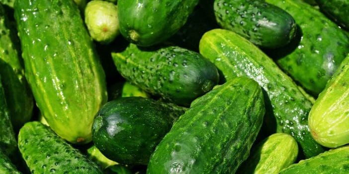 Estadísticas de pepino