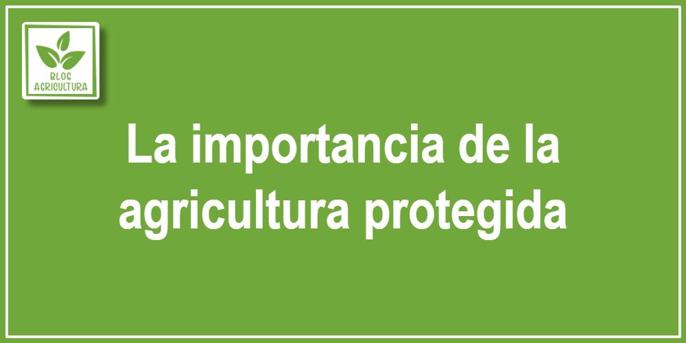 La importancia de la agricultura protegida