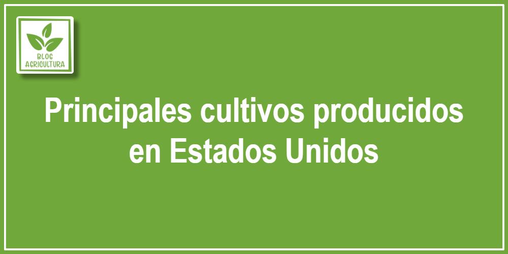 Principales cultivos producidos en Estados Unidos