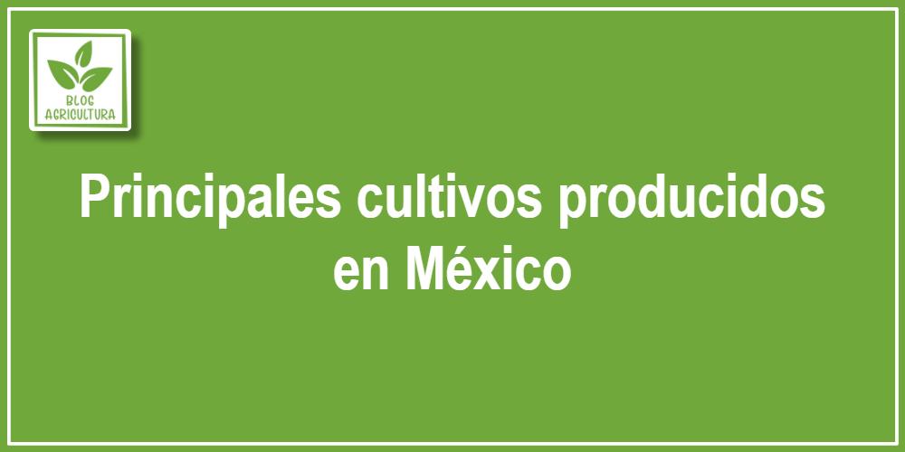 Principales cultivos producidos en México