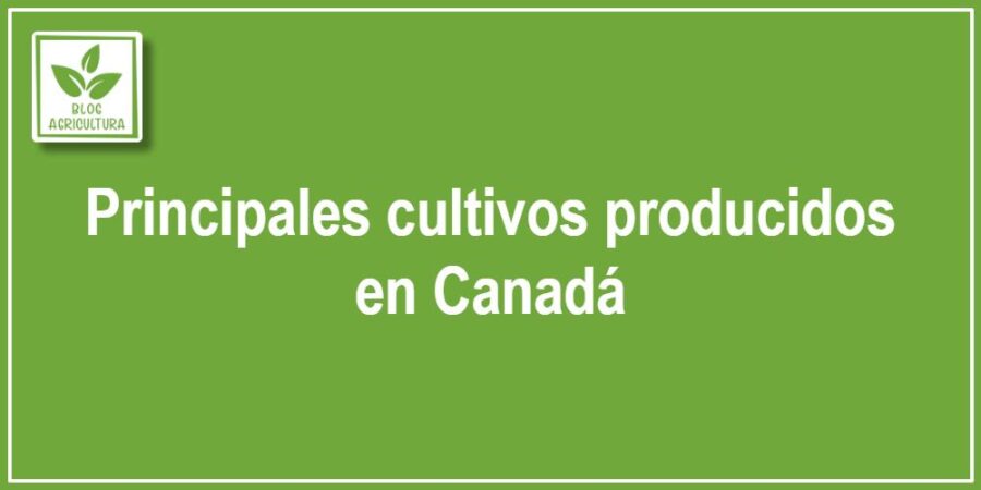 Principales cultivos producidos en Canadá