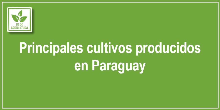 Principales cultivos producidos en Paraguay