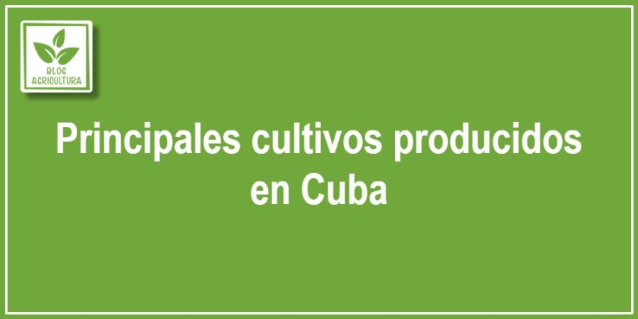 Principales cultivos producidos en Cuba