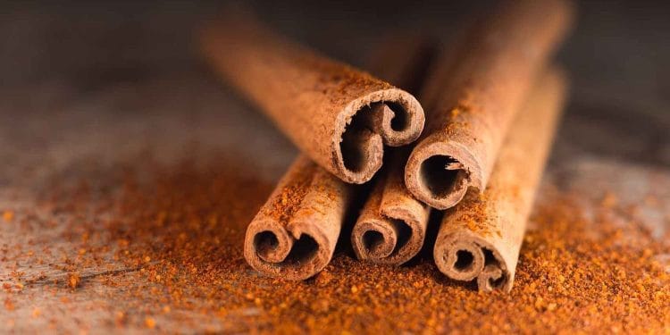 Estadísticas de canela