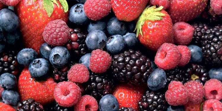 Berries comerciales