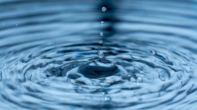 Recurso agua