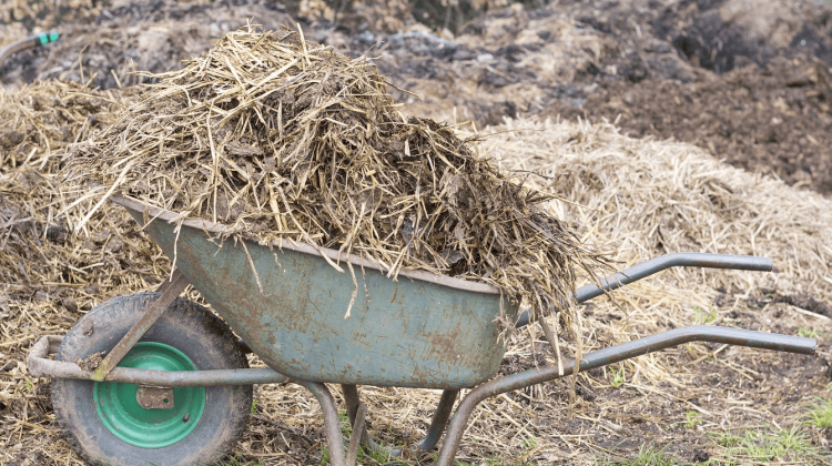 Residuos agrícolas
