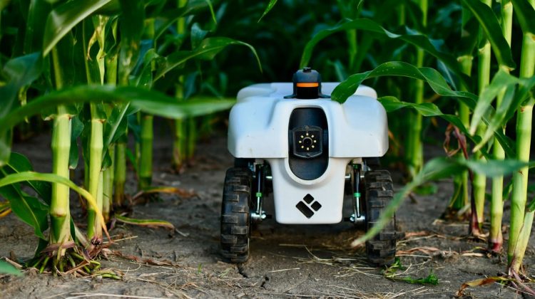 Robot agrícola