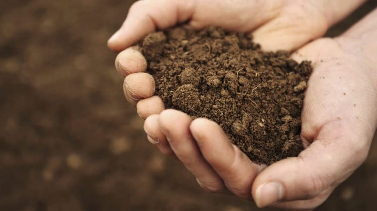 Suelos agrícolas