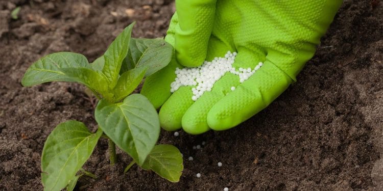 Aplicación de fertilizante