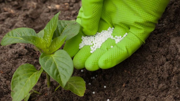 Aplicación de fertilizante