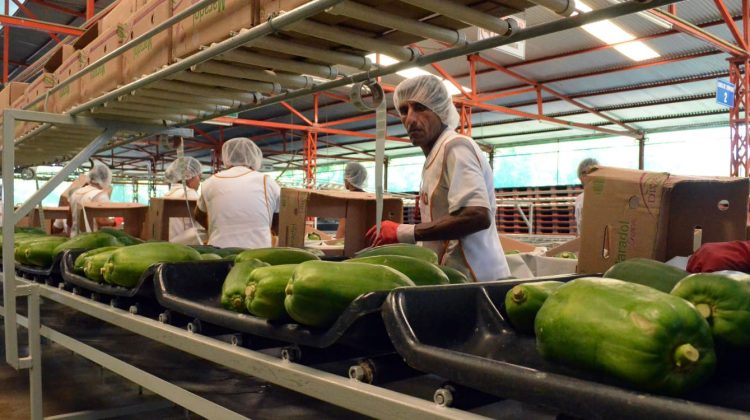 Empaque de productos agrícolas