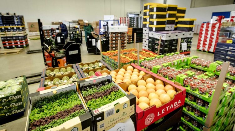 Comercio agroalimentario
