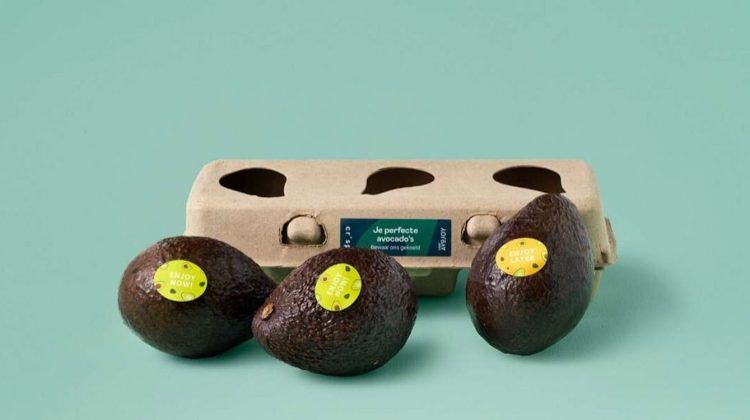 Empaque de 3 aguacates