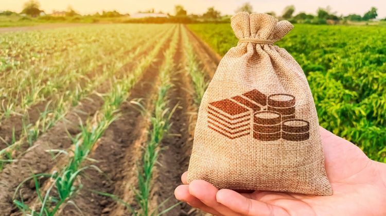 Inversión agrícola