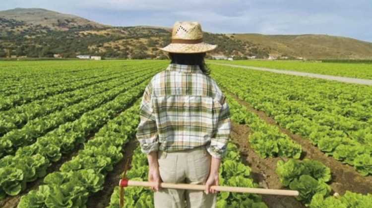 Perspectivas agroalimentarias