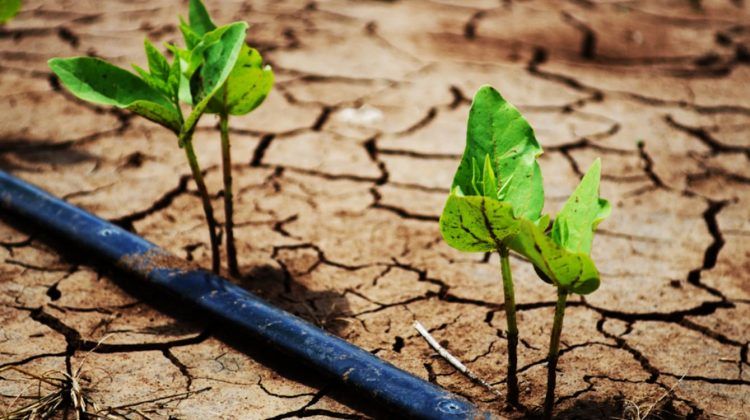 Cambio climático