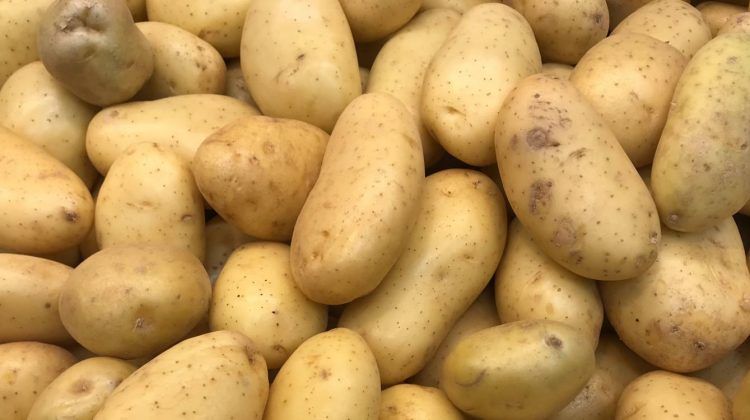 Papas