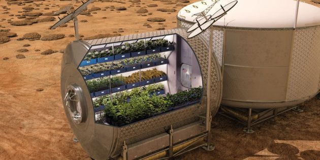 Idea para producir alimentos en Marte